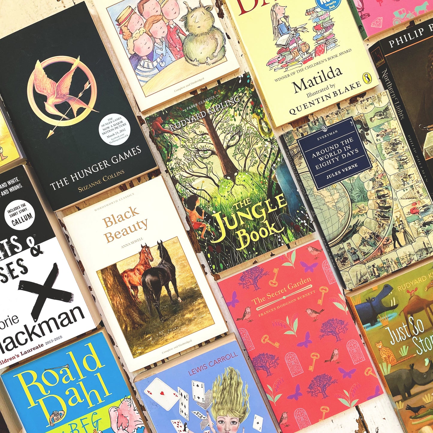 The Young Reader's Book Lover Gift Box
