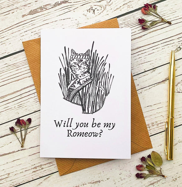 Romeow And Juliet Valentine's Day Card