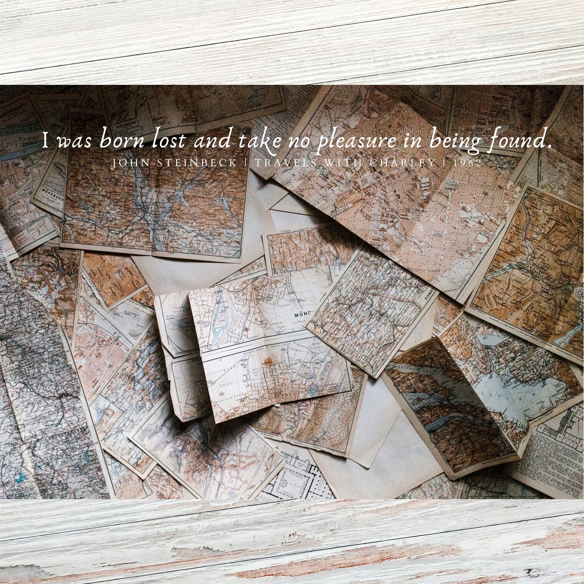 'I was born lost...' John Steinbeck Literary Quote Postcard